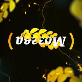Квиз Мозгва Новички 605 День 2